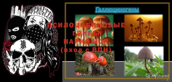 Альфа ПВП Алзамай