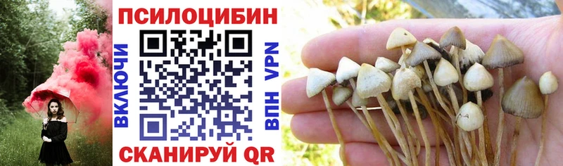 Псилоцибиновые грибы Psilocybine cubensis  Павловская 